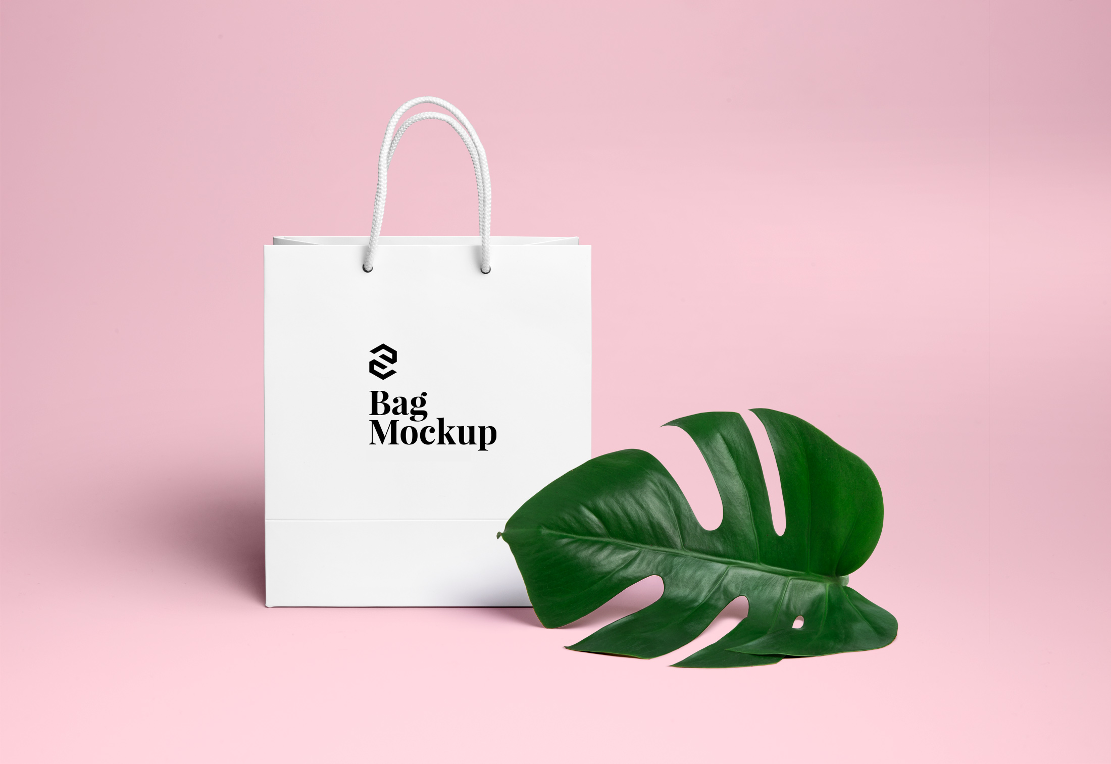 Shopping-Bag-PSD-MockUp-2 – pixel bash designs